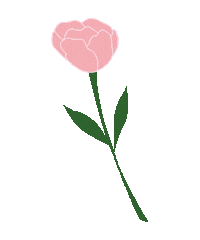 Pink Fitness Sticker by Boom Pilates