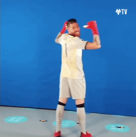Premier League Dance GIF by Wolves