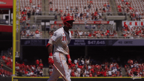 Baseball Mlb GIF by Cincinnati Reds