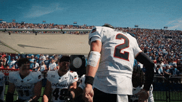 Cincinnati Football GIF by Cincinnati Bearcats