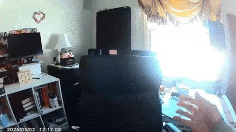 Magfish GIF by 1990retro