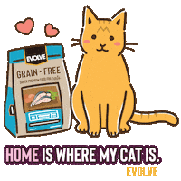 Cats Evolve Sticker by Sunshine Mills