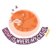 Cats Sleeping Sticker by Sunshine Mills