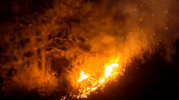 Colorado Firefighters Battle Boulder Blaze Amid Evacuations
