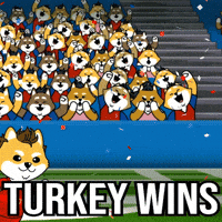 World Cup Football GIF by Dogelon Mars