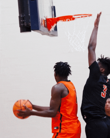 cityrockseybl reaction basketball celebration city GIF