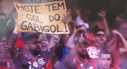 gabigol hojetemgoldogabigol GIF