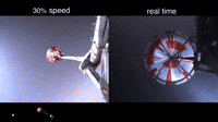 Perseverance Rover’s Descent and Touchdown on Mars