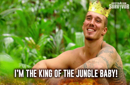 king of the jungle GIF by Australian Survivor