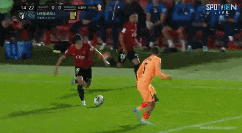 highansol93 giphyupload GIF