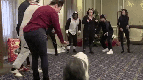 LTJ giphygifmaker GIF