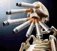 Skull Lol GIF