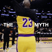 Lebron James Basketball GIF