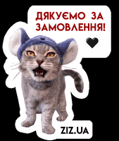 ziz-ua ziz zizua GIF