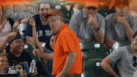 fan orioles GIF by MLB