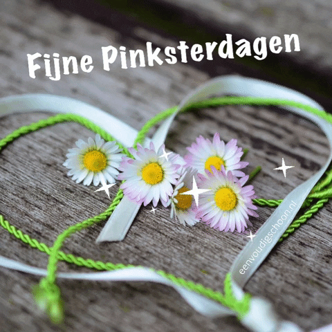 Pink Flower GIF by Eenvoudig Schoon
