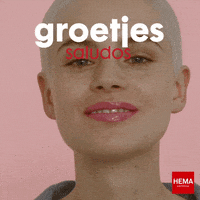 Hemamx dutch saludos hema hema mexico GIF