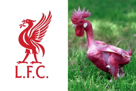 Youll Never Walk Alone GIF