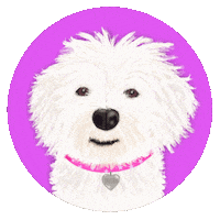 Dog Love Sticker by cebrazul