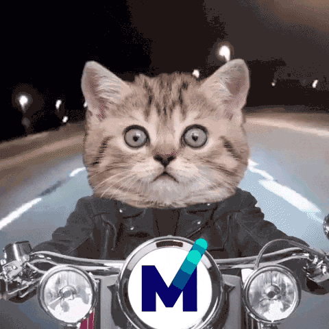 MXC_Foundation giphyupload cat crypto iot GIF