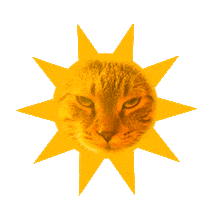 Cats Sun Sticker by Wisdom Panel™