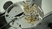 fashion watch GIF by Digg