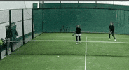 collescipolisportingclub  GIF