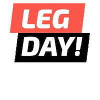 WellAcademia well academiawell vemprawell sextounawell Sticker
