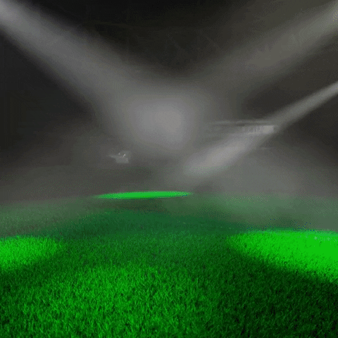 BabyYoDah giphyupload GIF