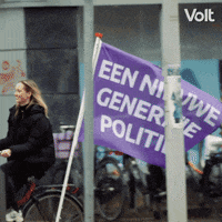 Verkiezingen Stemvolt GIF by VoltNL