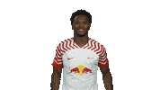 Happy Rb Leipzig Sticker by Bundesliga