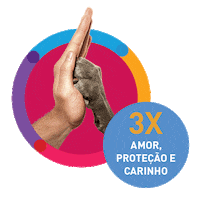 msdfamiliapet bravecto Sticker