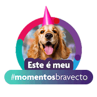 Bravecto Sticker by MSD Família Pet