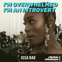 met gala 2018 GIF by E!