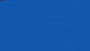 Sport Nfl GIF by Seattle Seahawks