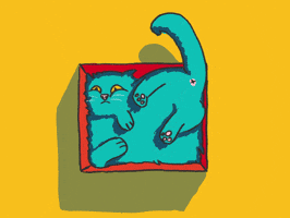 Happy Cat GIF by gasta