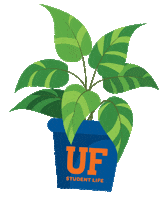 Moving University Of Florida Sticker by UF Student Life