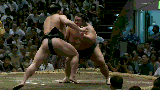 TZ85 giphyupload sumo 2023 aki basho takakeisho GIF