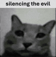 Cat Silence GIF