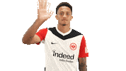 Bye Bye Frankfurt Sticker by Bundesliga