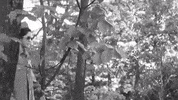 GIF by mdleone
