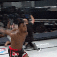 Happy Knockout GIF by United Fight League