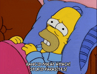 homer simpson episode 13 GIF
