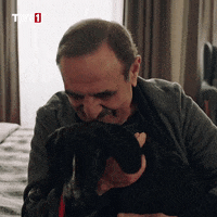 Dog Love GIF by TRT