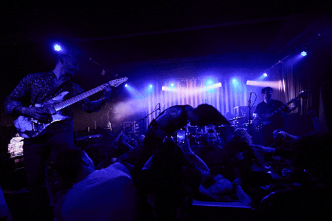 Live Music Rock GIF by wade.photo