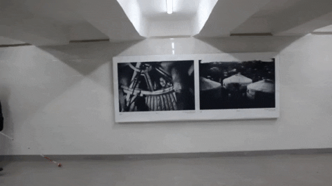 jiinabatchimeg giphygifmaker GIF