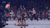 GIF by ALL ELITE WRESTLING