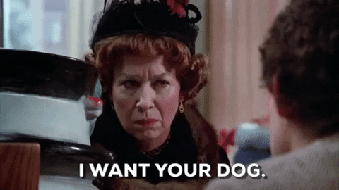 i want your dog GIF