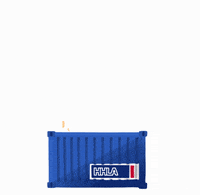 Happy Firework GIF by HHLA