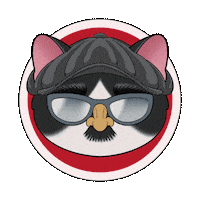 Cat Kitty Sticker